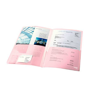 Esselte Poset Dosya A4 5adet 2li Asorti 17325