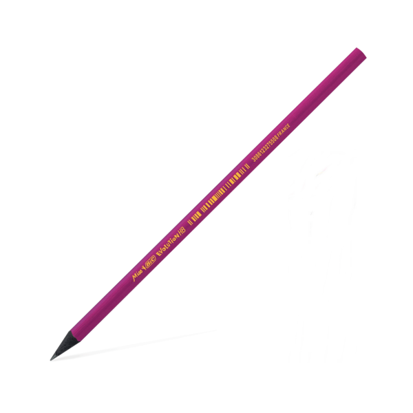 Bic Evolution Purple Kursun Kalem 901737