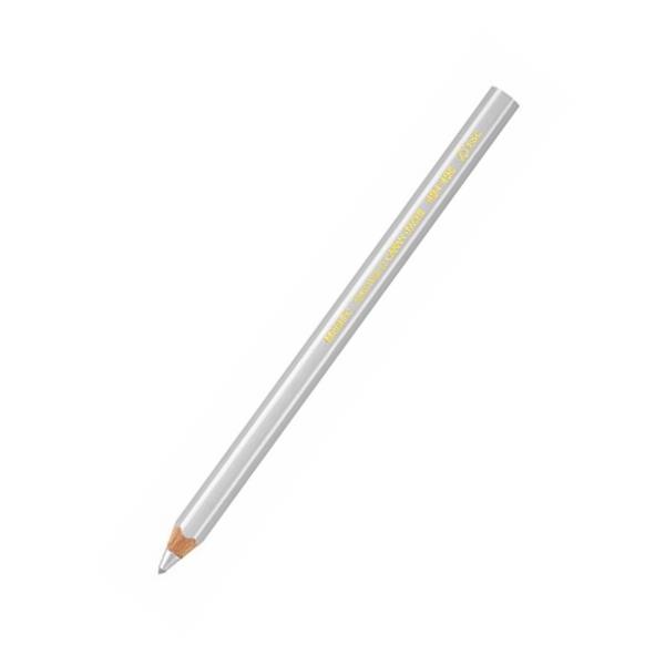 Carandache Kuru Boya Maxi Metallic Gümüş 494.498